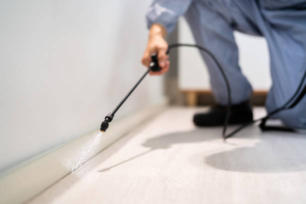Professional exterminator conducting IPM assessment in Columbus