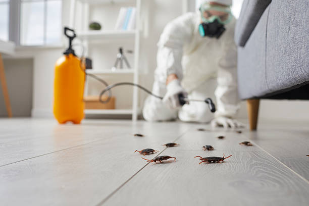 Commercial Rodent Management in Columbus